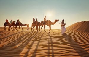 Abu Dhabi Desert Safari Prices and Timings (2025 Updated Guide)