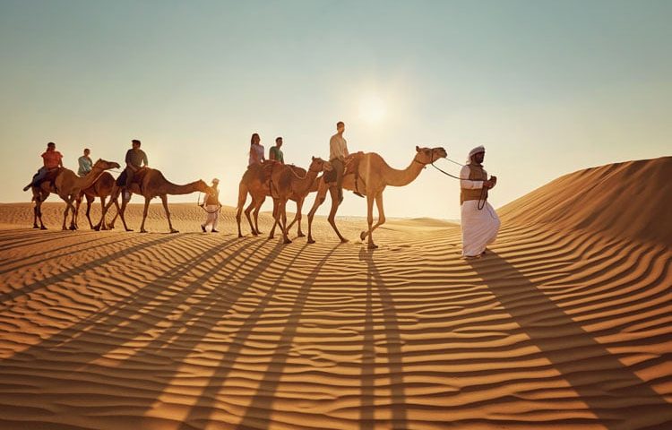 Camel Riding