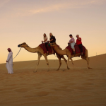 abu dhabi camel trekking