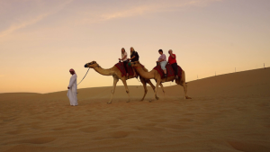 The Ultimate Guide to the Best Time for an Abu Dhabi Desert Safari