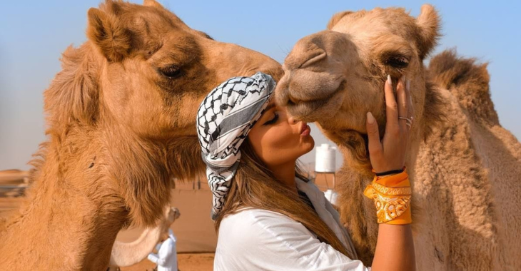 abu dhabi camel farm visit