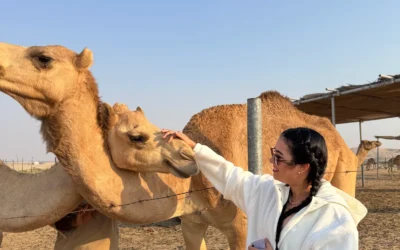 camel farm visit