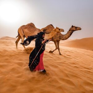 Abu Dhabi Desert Safari Transport Guide: Hotel Pickups, Shared Buses & Self-Drive