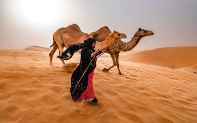 desert guide