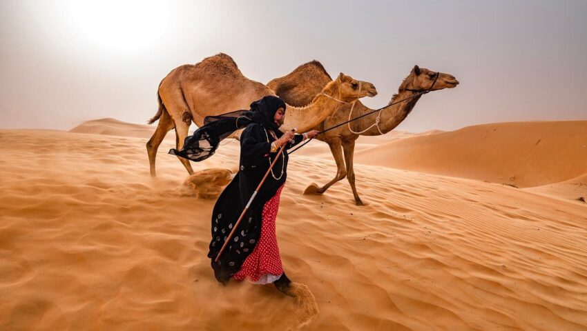 desert guide
