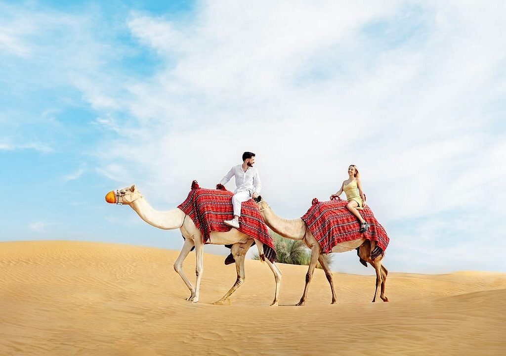 abu dhabi camel trekking