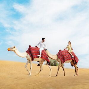 Best Evening Desert Safari in Abu Dhabi: How to Choose in 2026
