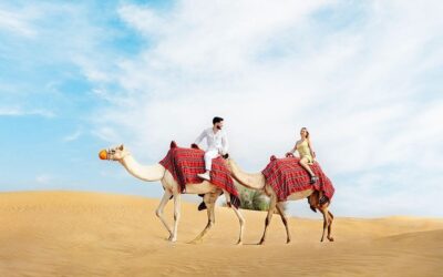 abu dhabi camel trekking