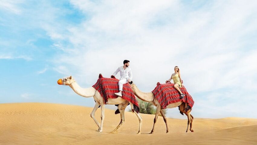 abu dhabi camel trekking