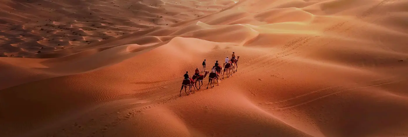 Liwa Sunset Desert Safari