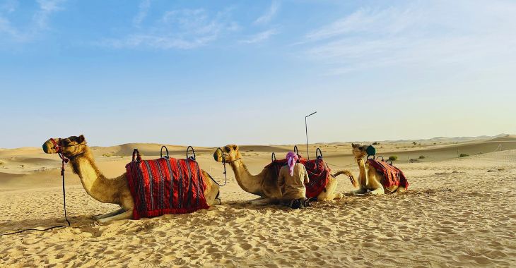 Abu Dhabi Camel Trekking Tour