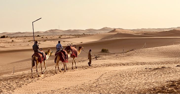 Abu Dhabi Camel Trekking Tour