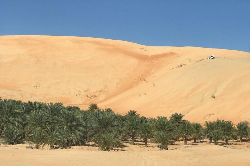 Liwa Sunset Desert Safari